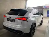 Lexus NX series, 2019-6