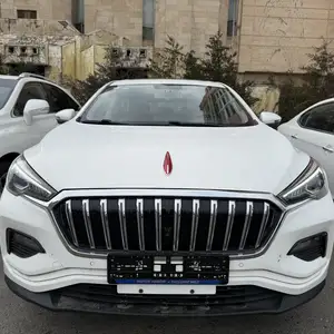 Hongqi E-HS3, 2020