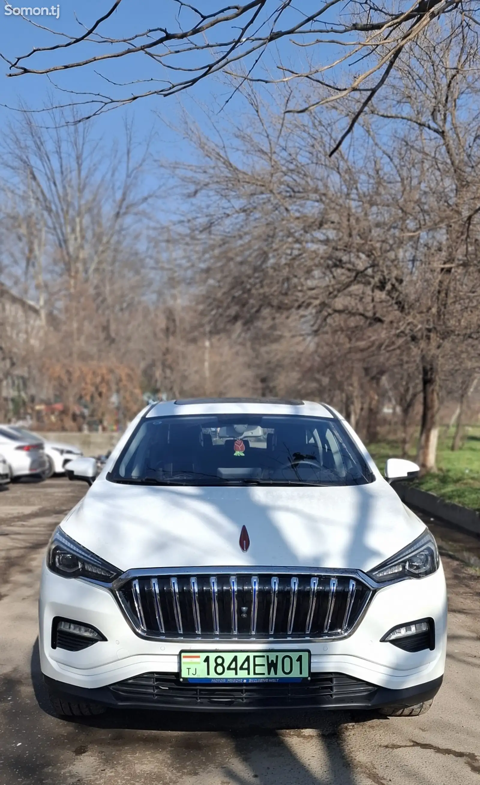 Hongqi E-HS3, 2019-1