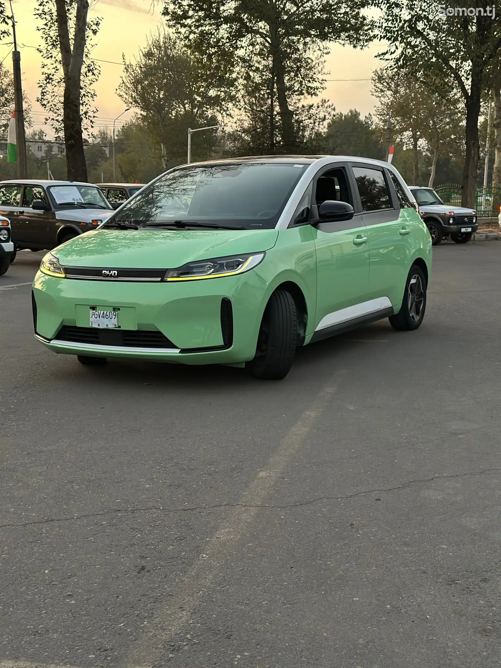 BYD Другие модели, 2021-2