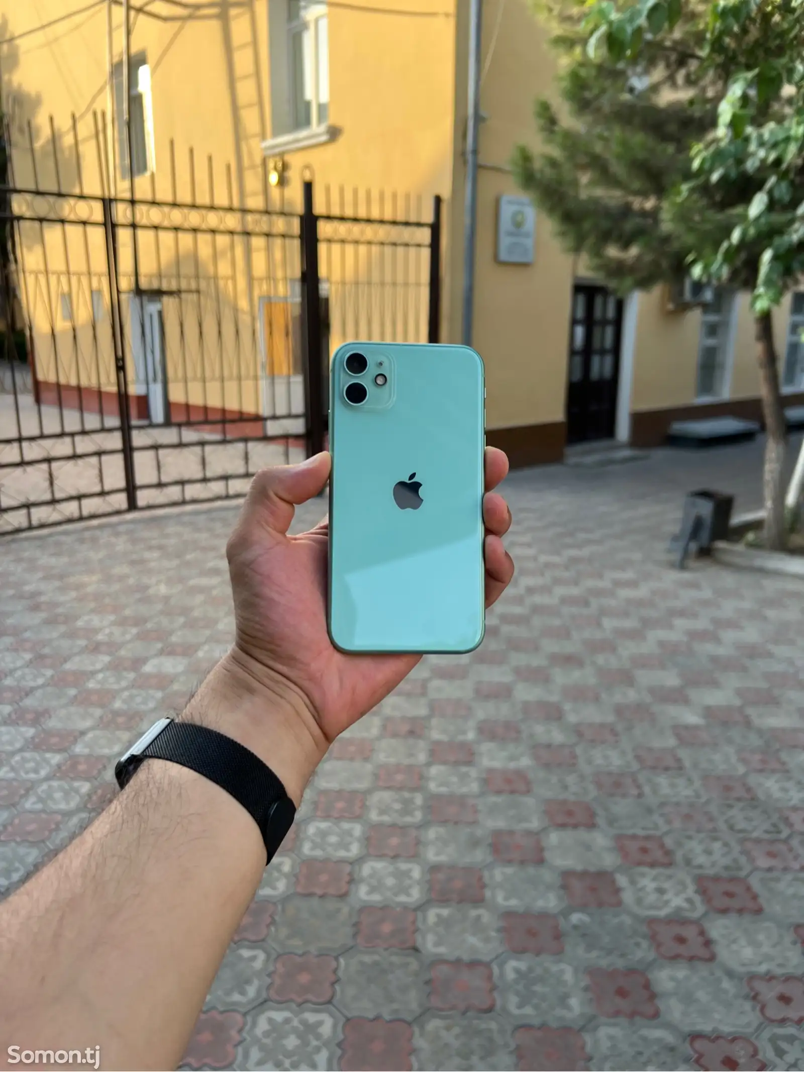 Apple iPhone 11, 64 gb, Green-1