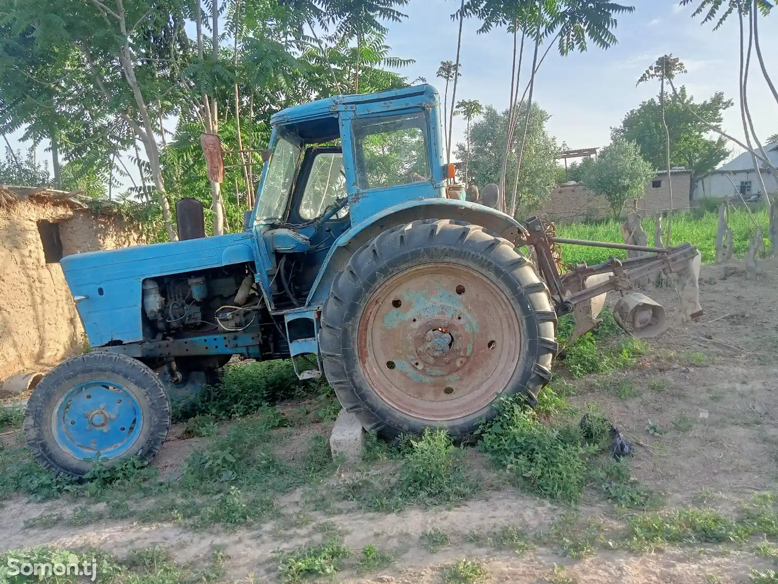 Трактор мтз 80-3