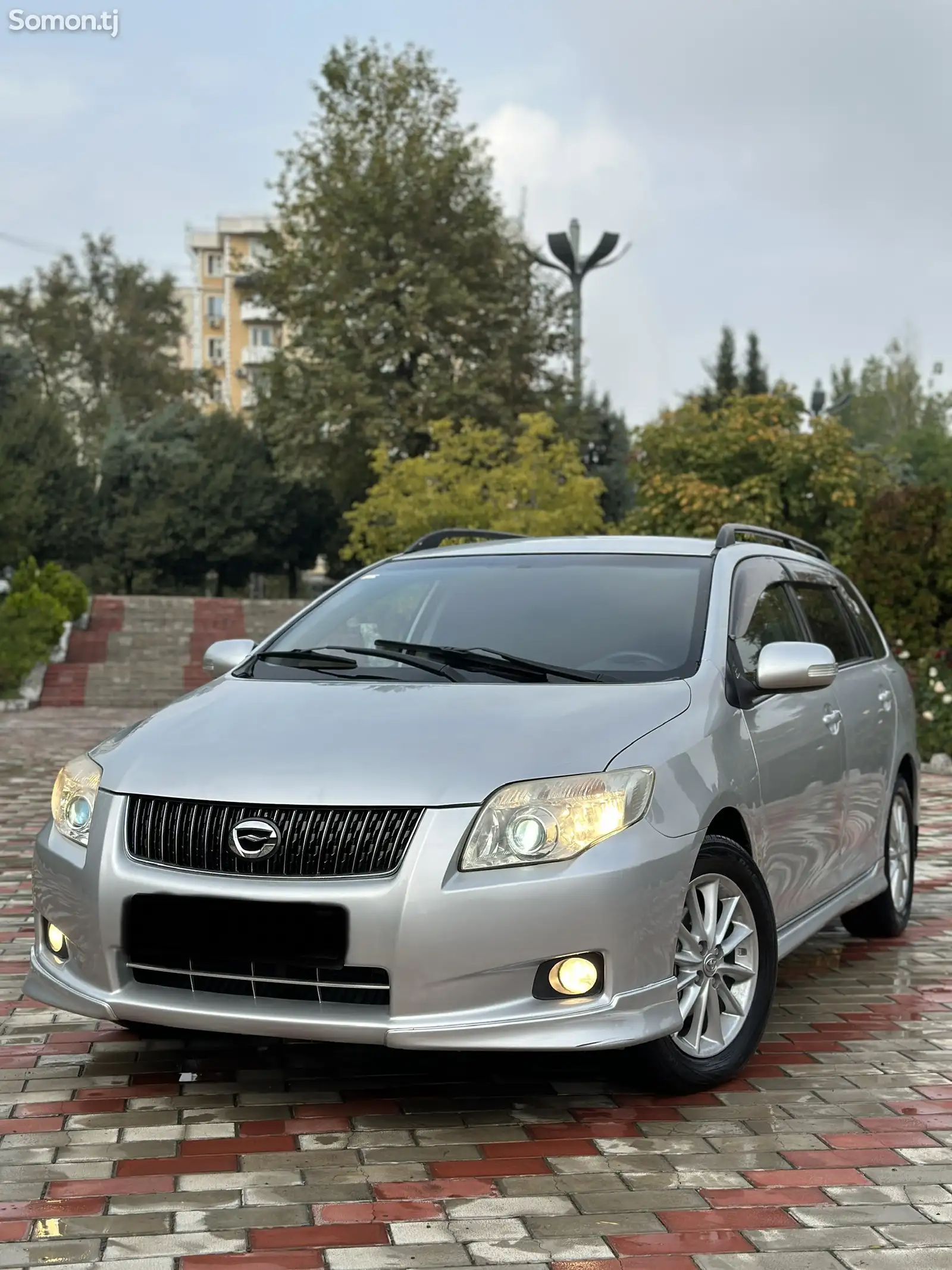 Toyota Fielder, 2008-1