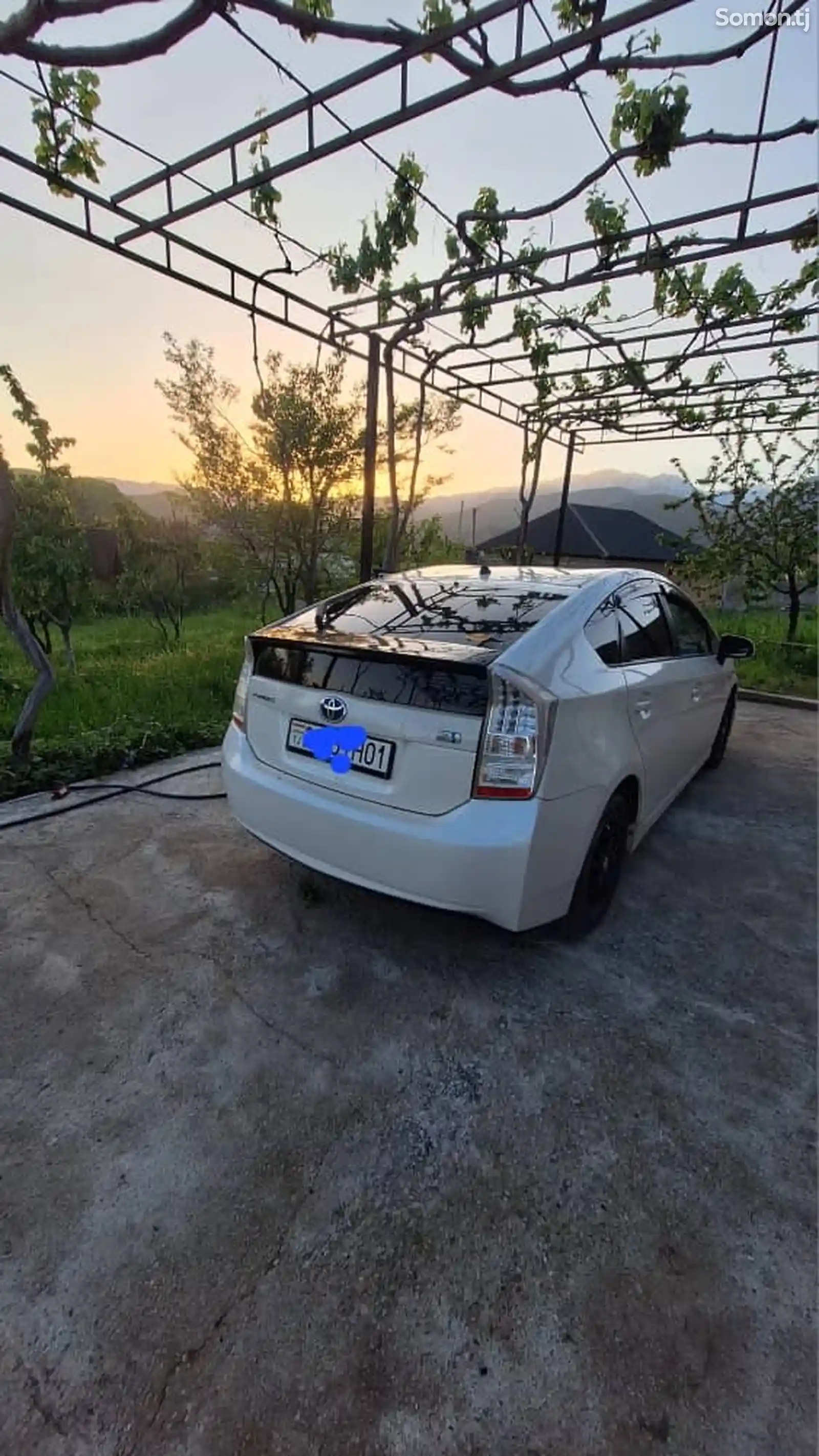 Toyota Prius, 2010-3