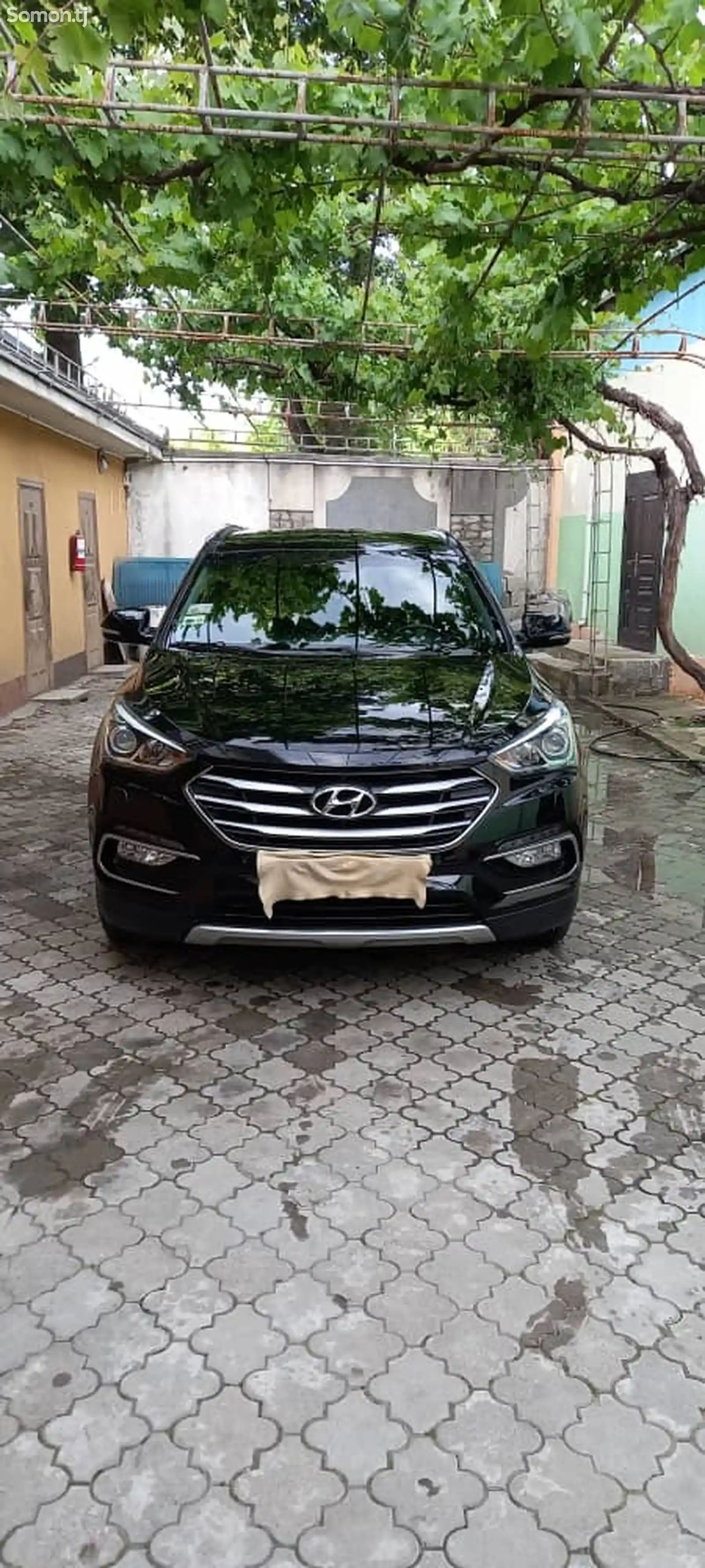 Hyundai Santa Fe, 2017-6
