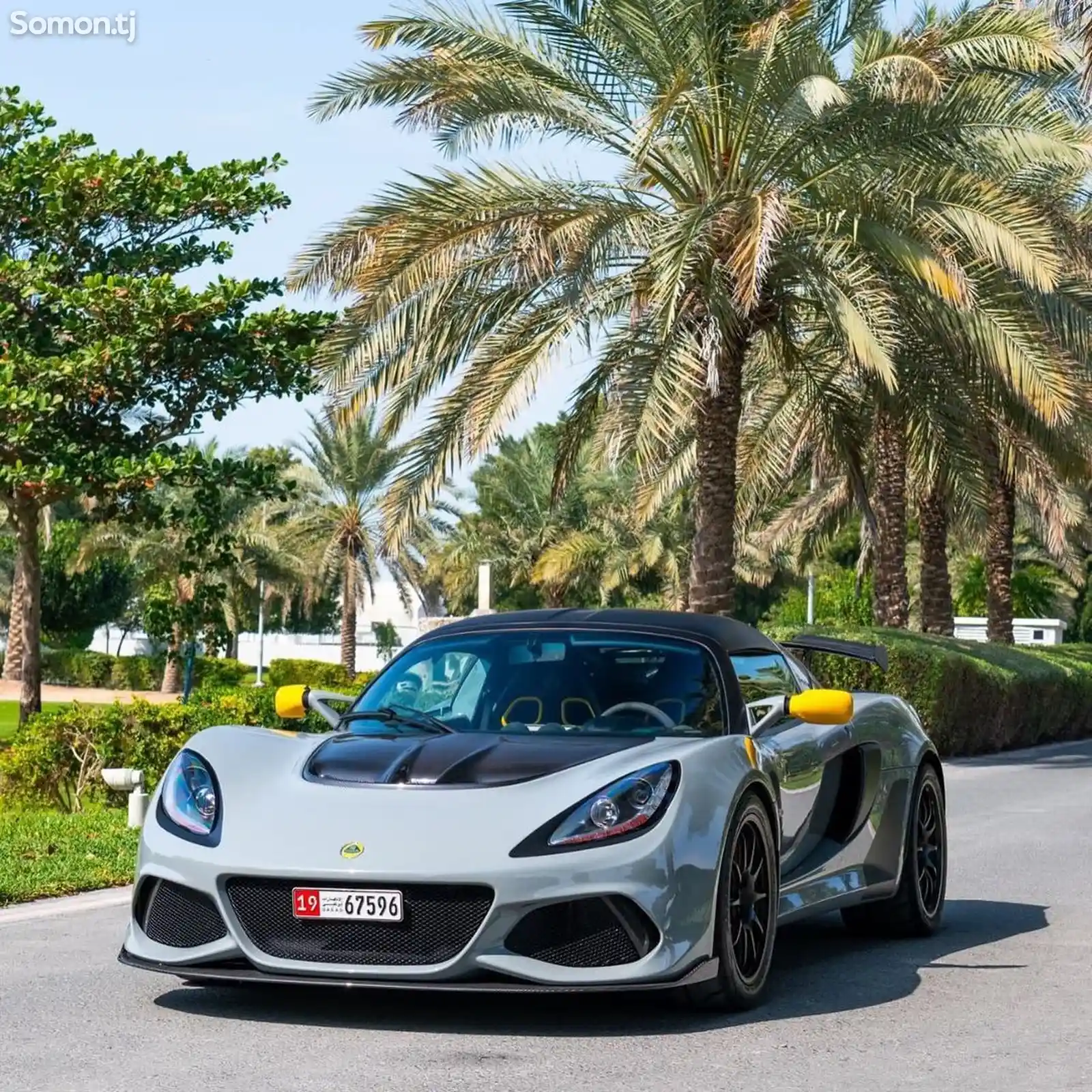 Lotus Axig 410 Sport , 2020-1