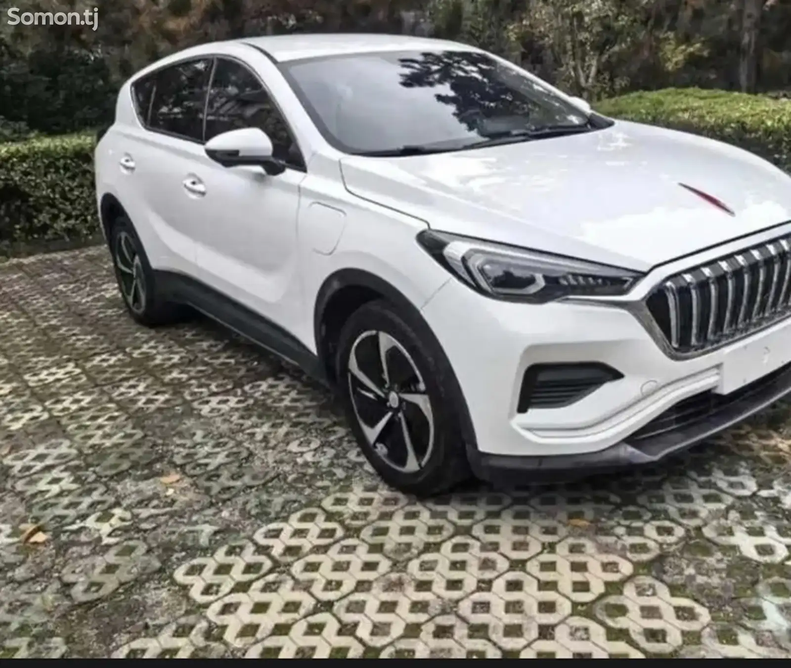 Hongqi E-HS3, 2019-1