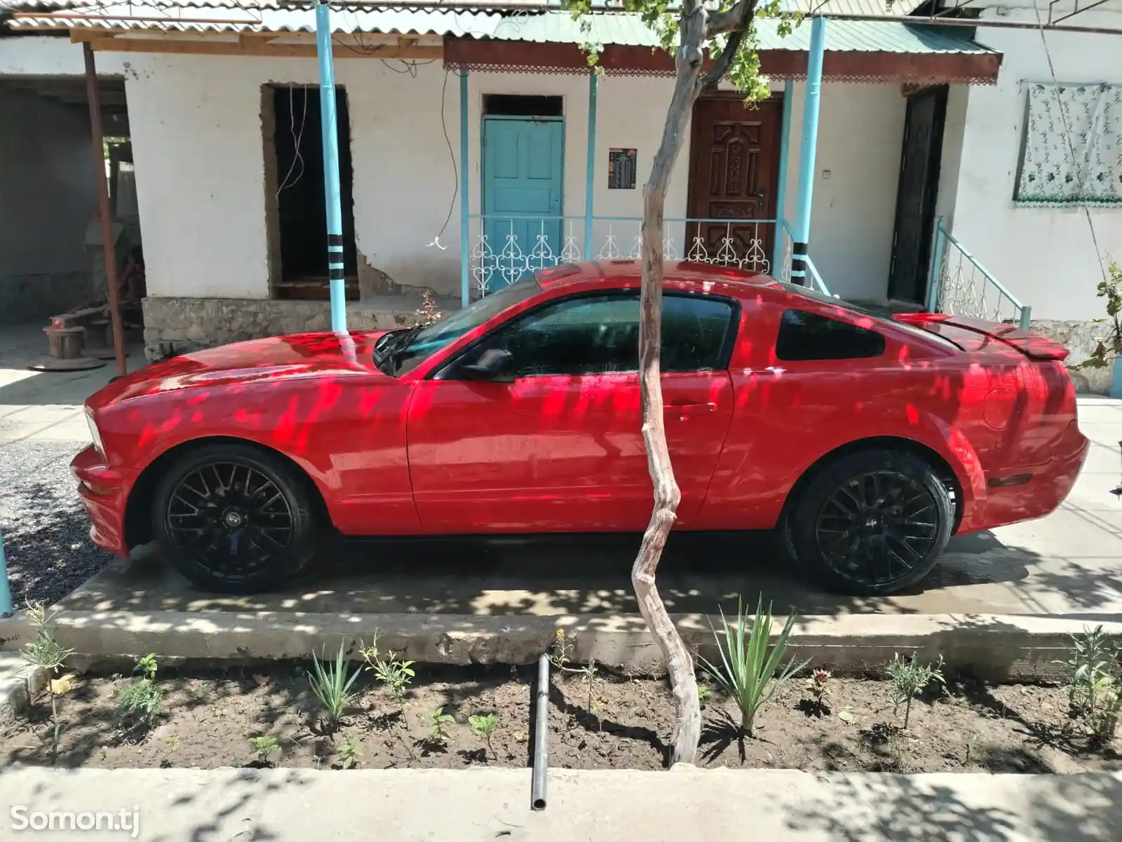 Ford Mustang, 2005-2