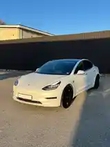 Tesla Model 3, 2021-3