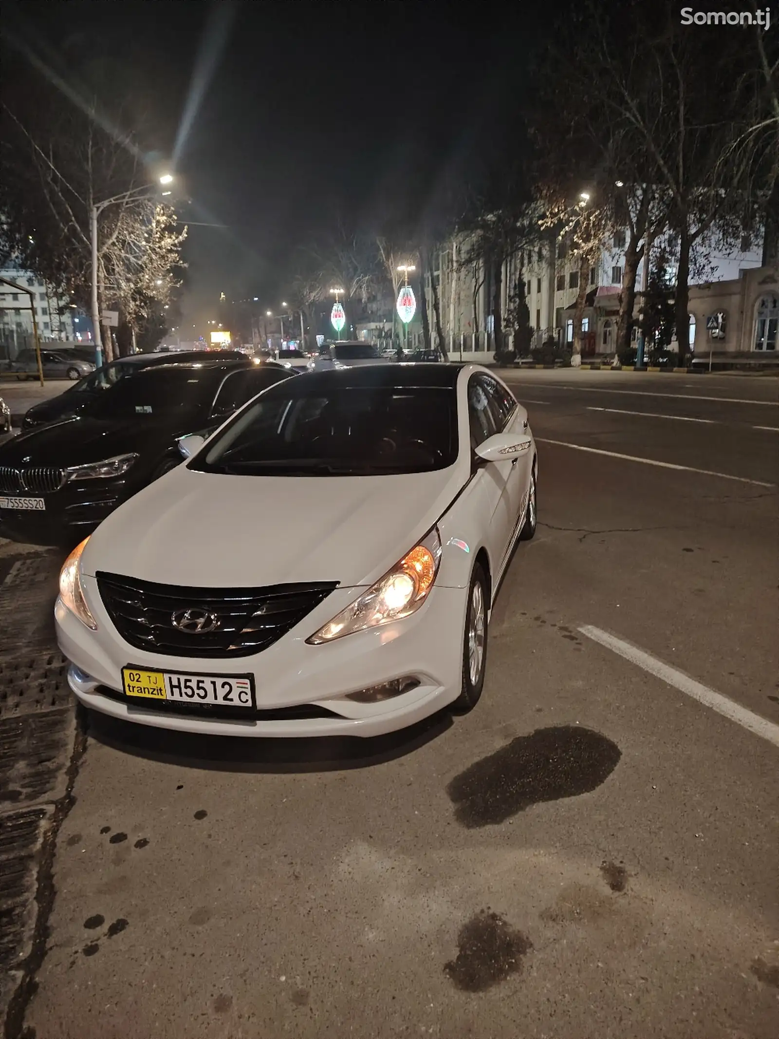 Hyundai Sonata, 2010-1