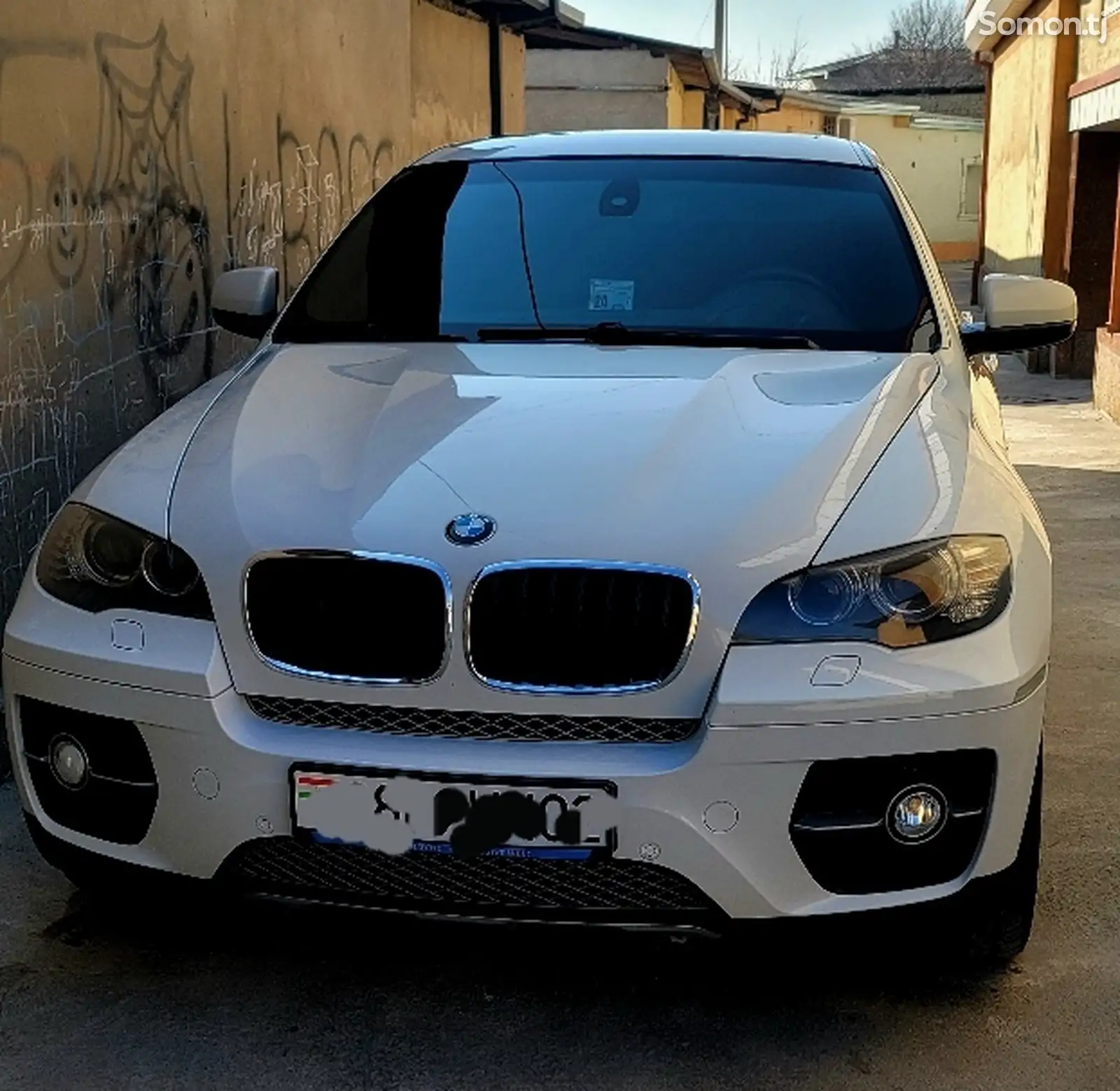 BMW X6, 2010-1