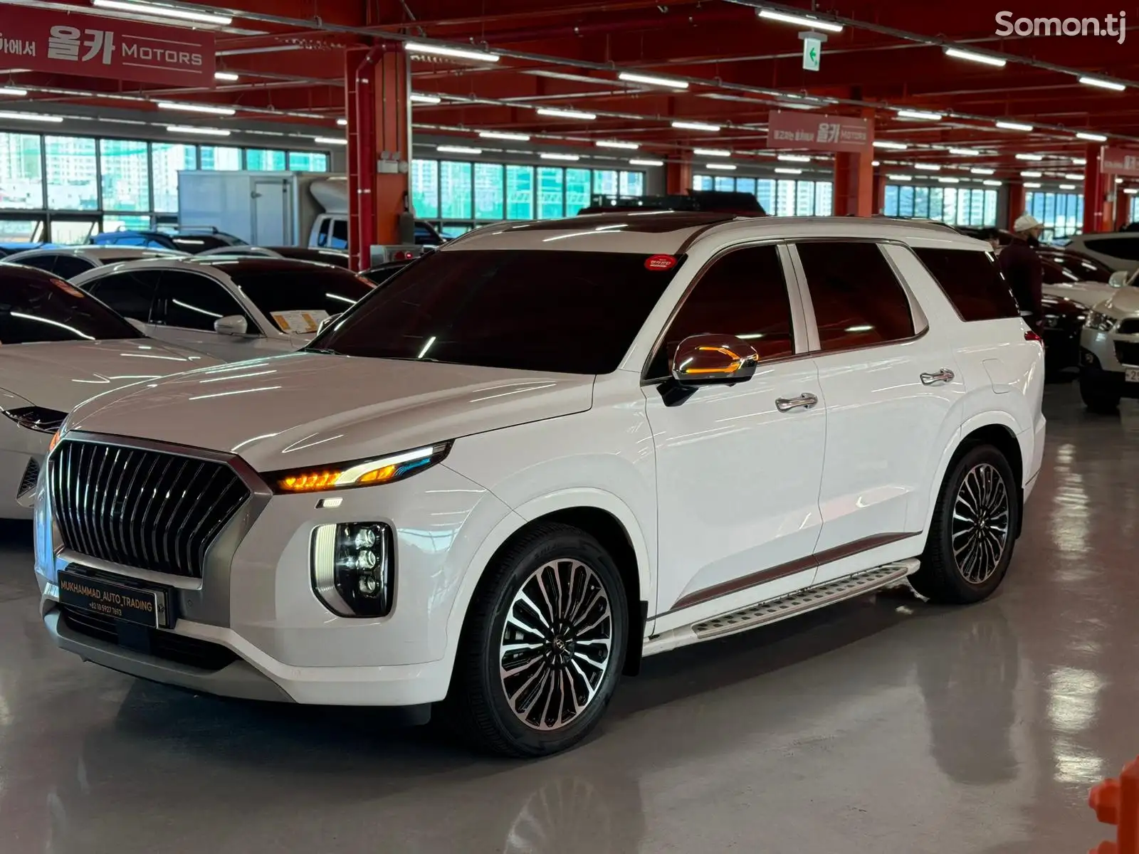 Hyundai Palisade, 2020-1