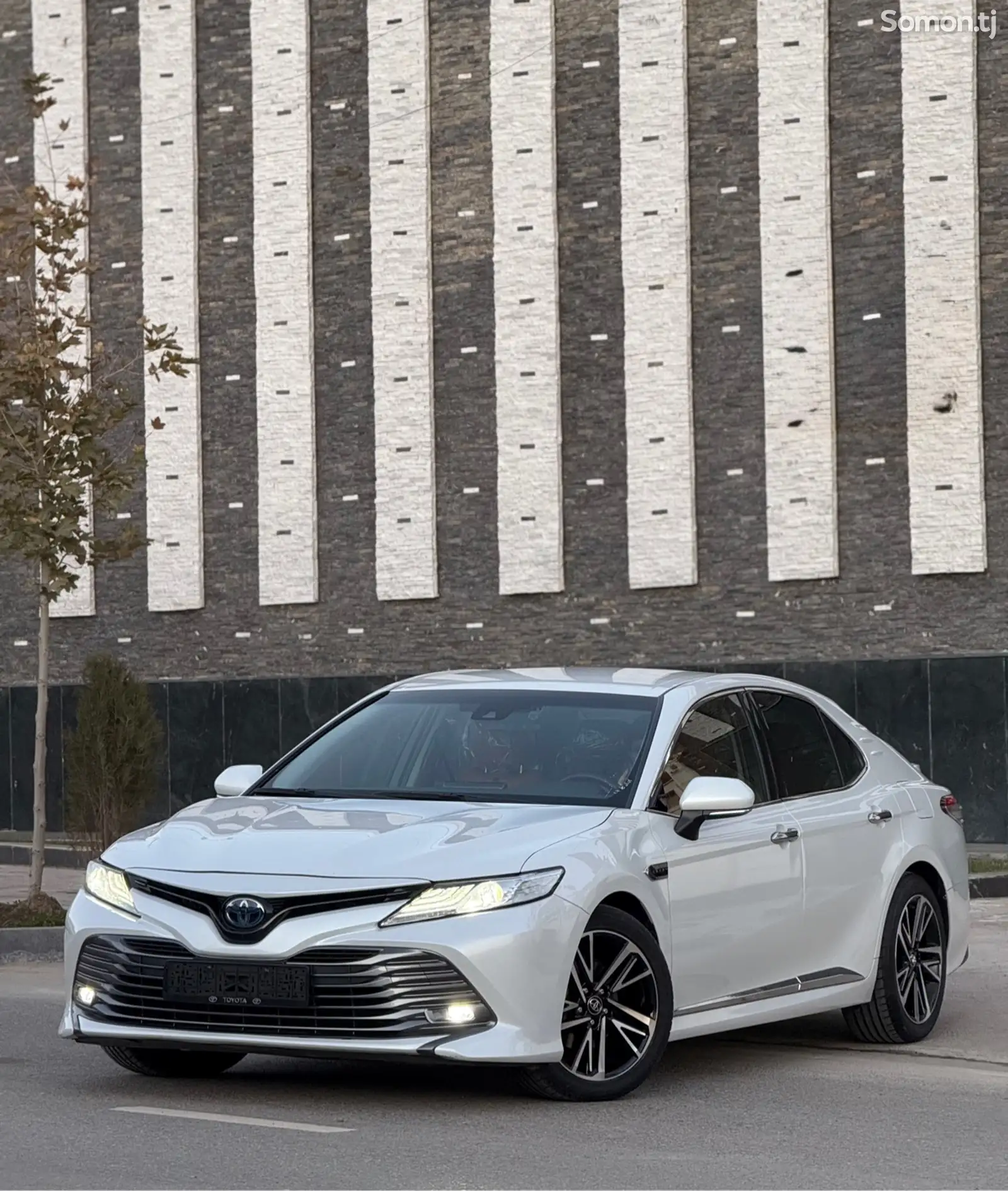 Toyota Camry, 2019-1