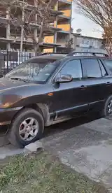 Hyundai Santa Fe, 2004-4