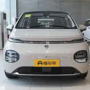 Wuling Bingo plus, 2024