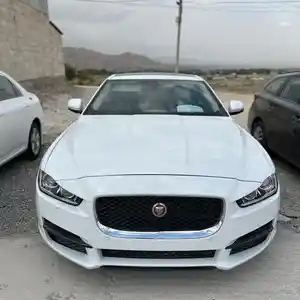 Jaguar, 2016