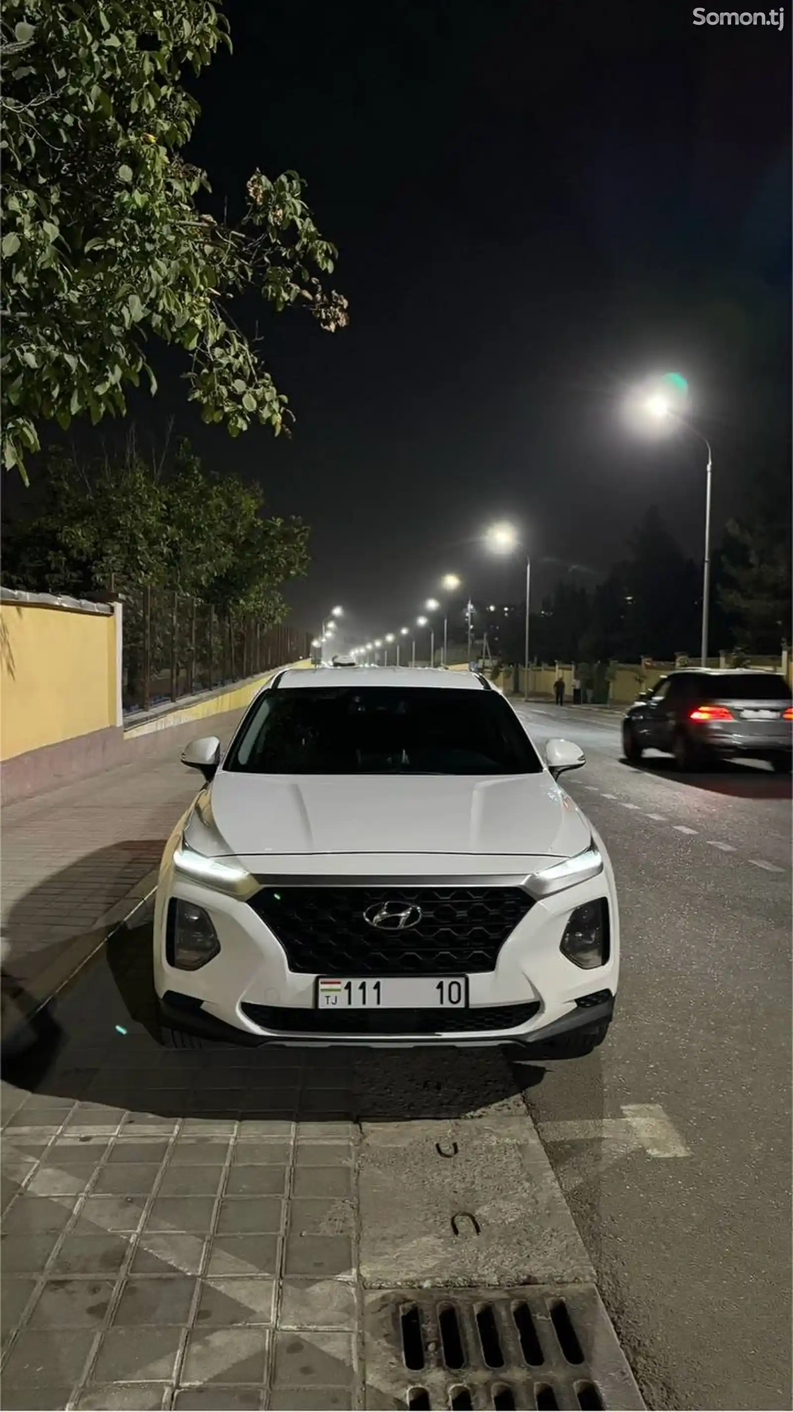 Hyundai Santa Fe, 2019-2