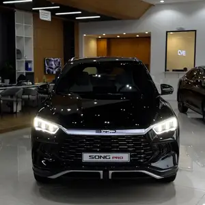 BYD Song, 2024