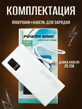 Внешний аккумулятор Power Bank 10000mah-2