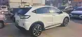 Honda XNV, 2021-5