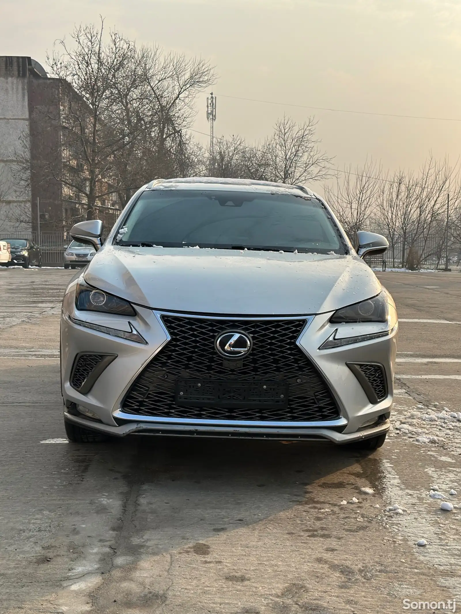 Lexus NX series, 2018-1