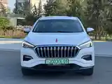 Hongqi E-HS3, 2019-2