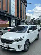 Kia Carnival, 2014-4