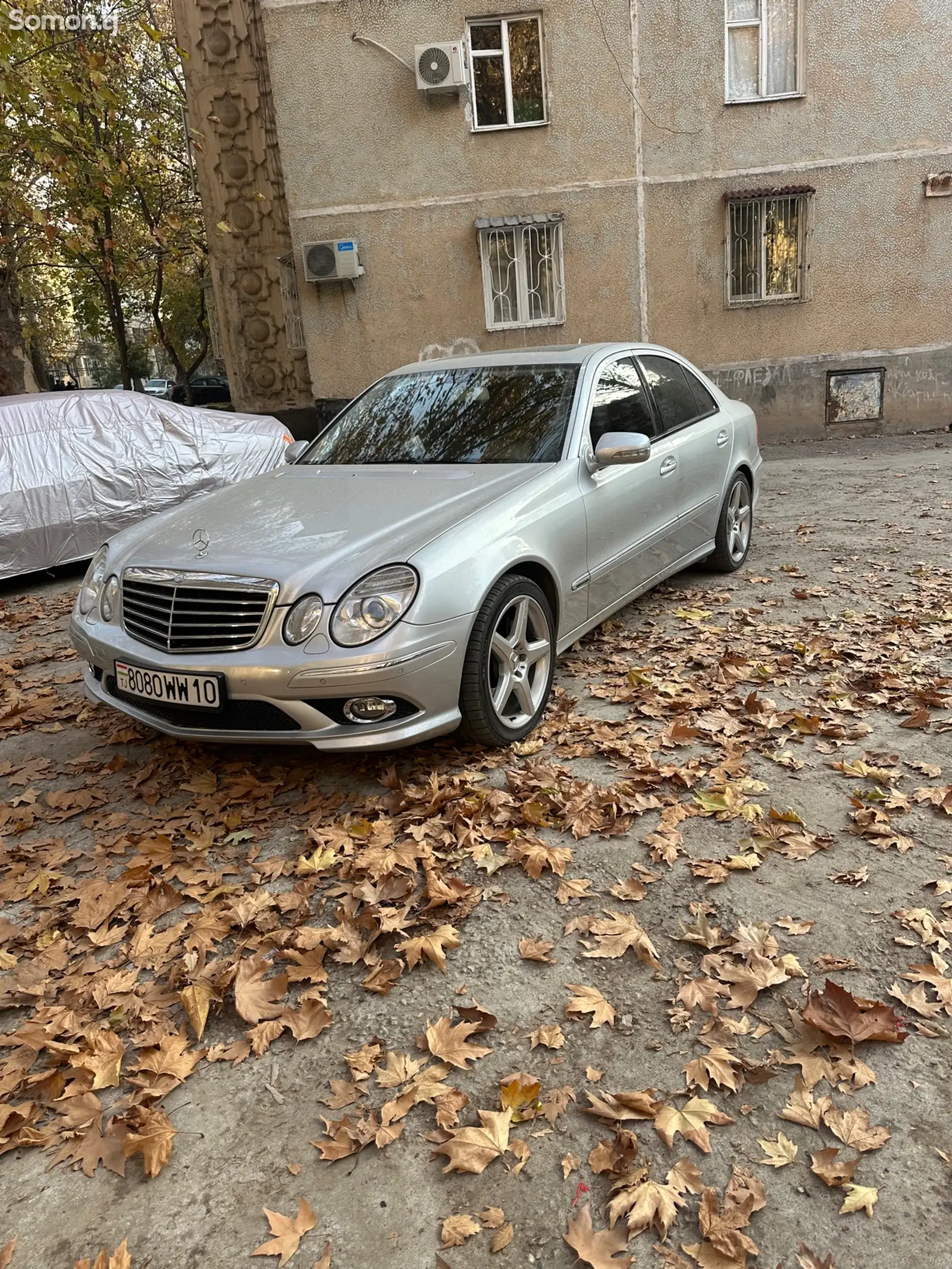 Mercedes-Benz E class, 2006-1