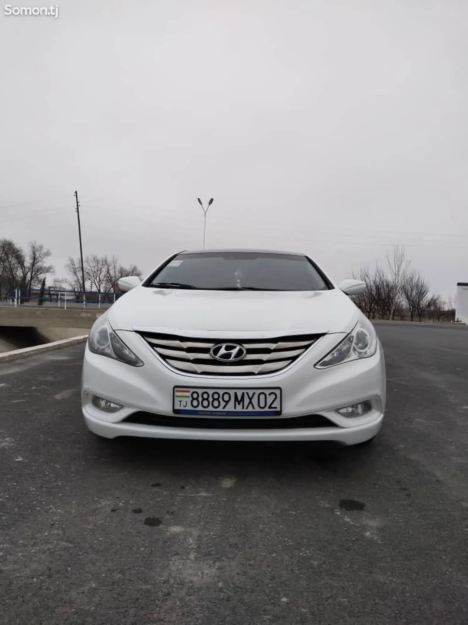 Hyundai Sonata, 2010-1