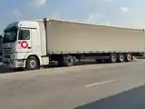 Седельный тягач Mercedes-Benz Actros 1844,2007-5