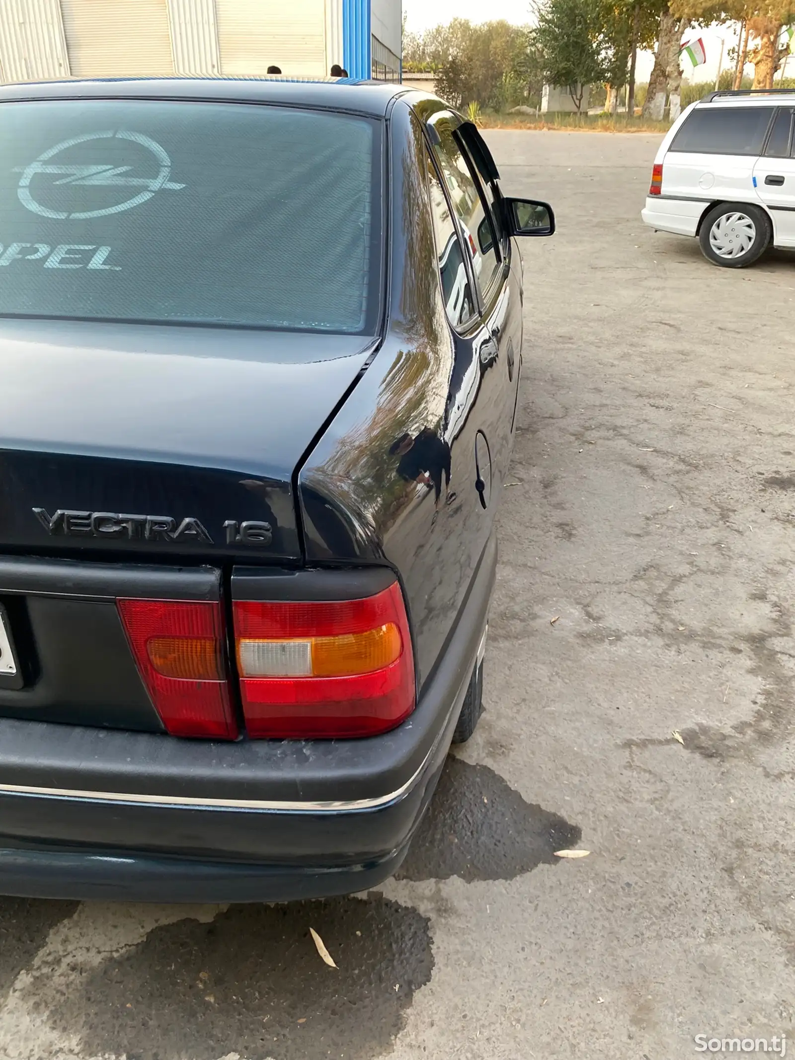 Opel Vectra A, 1995-6