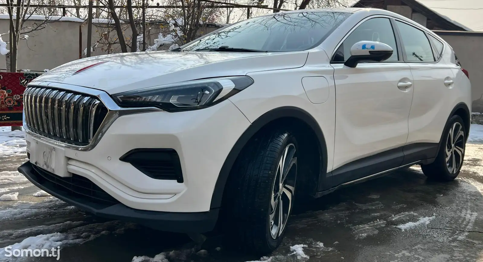 Hongqi E-HS3, 2019-1