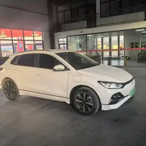 BYD E2, 2023