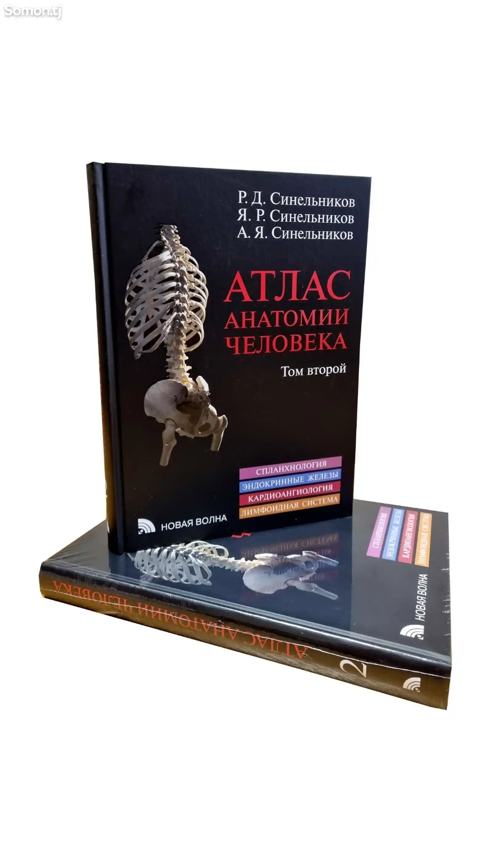 Книга Атлас Анатомии Человека на заказ-7