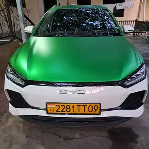 BYD E2, 2024