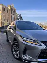 Lexus RX series, 2021-14