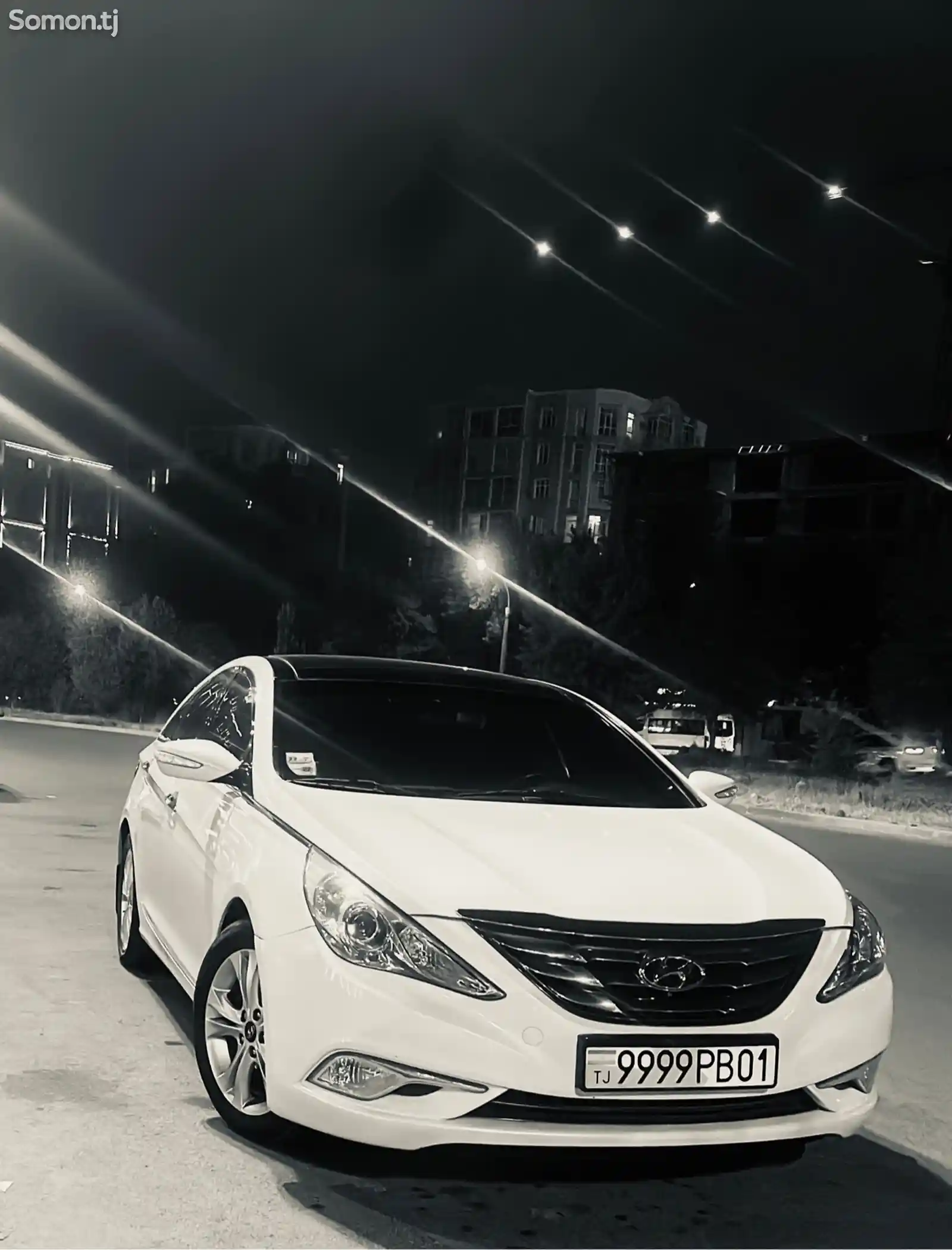 Hyundai Sonata, 2010-7