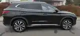 BYD Song Plus Flagship, 2024-8