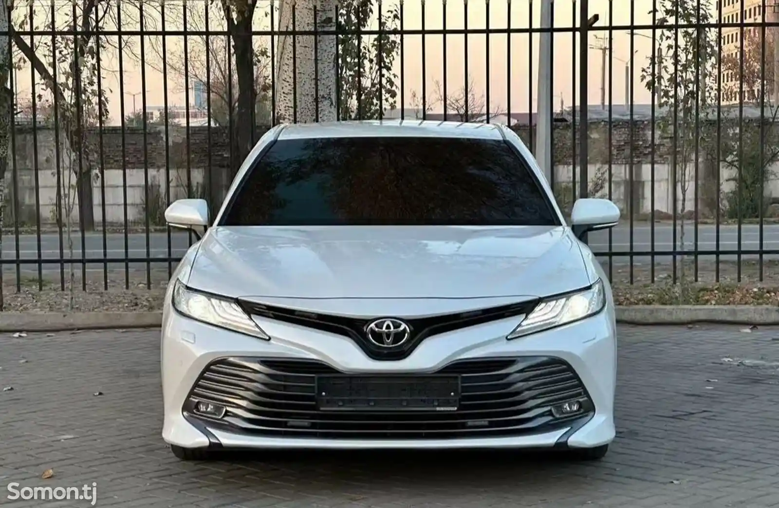 Toyota Camry, 2019-1