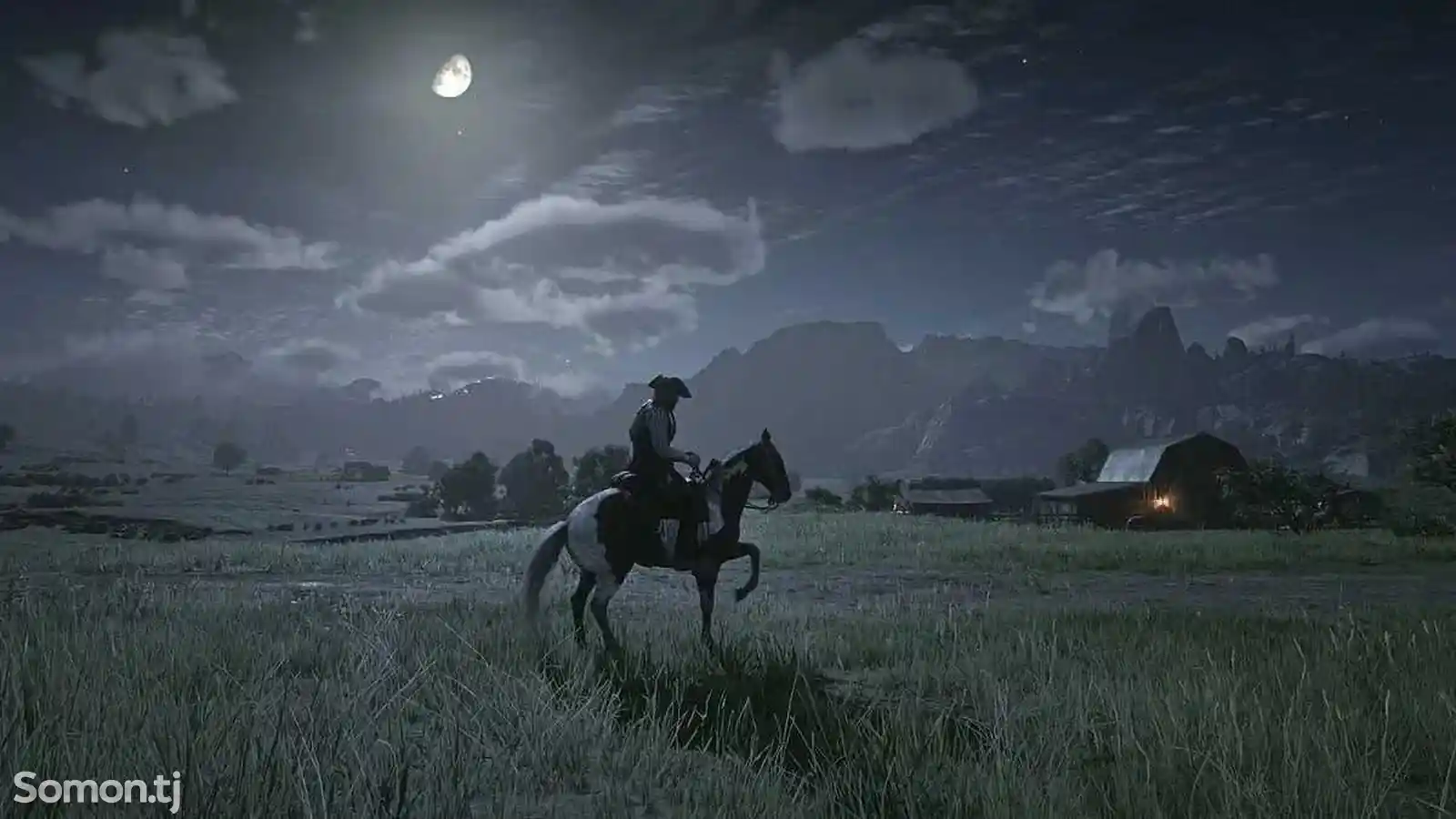 Игра Red Dead Redemption 2 на PS4-6