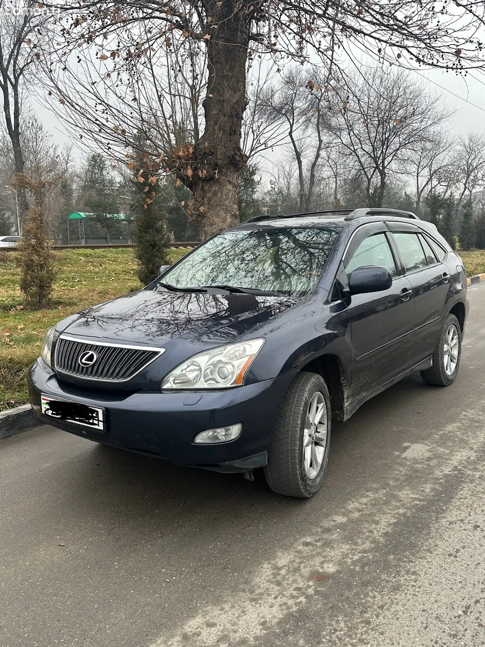 Lexus RX series, 2008-1