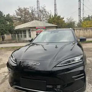 BYD Song Plus Flagship, 2024