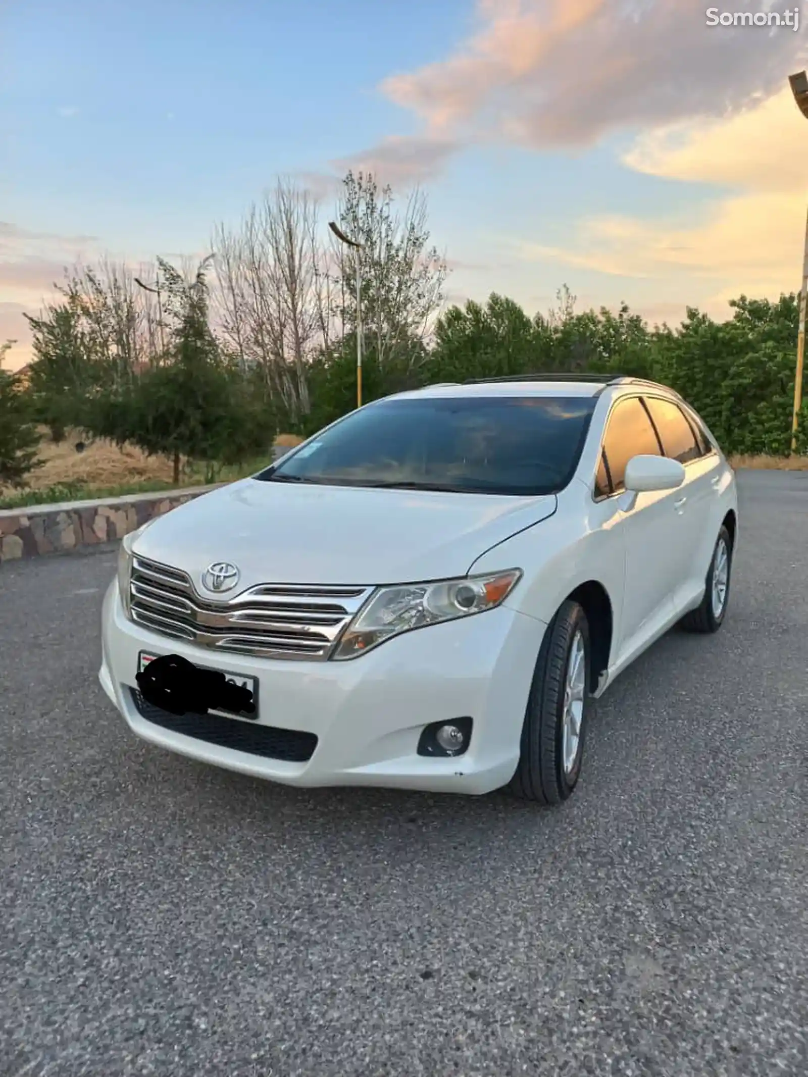 Toyota Venza, 2009-1