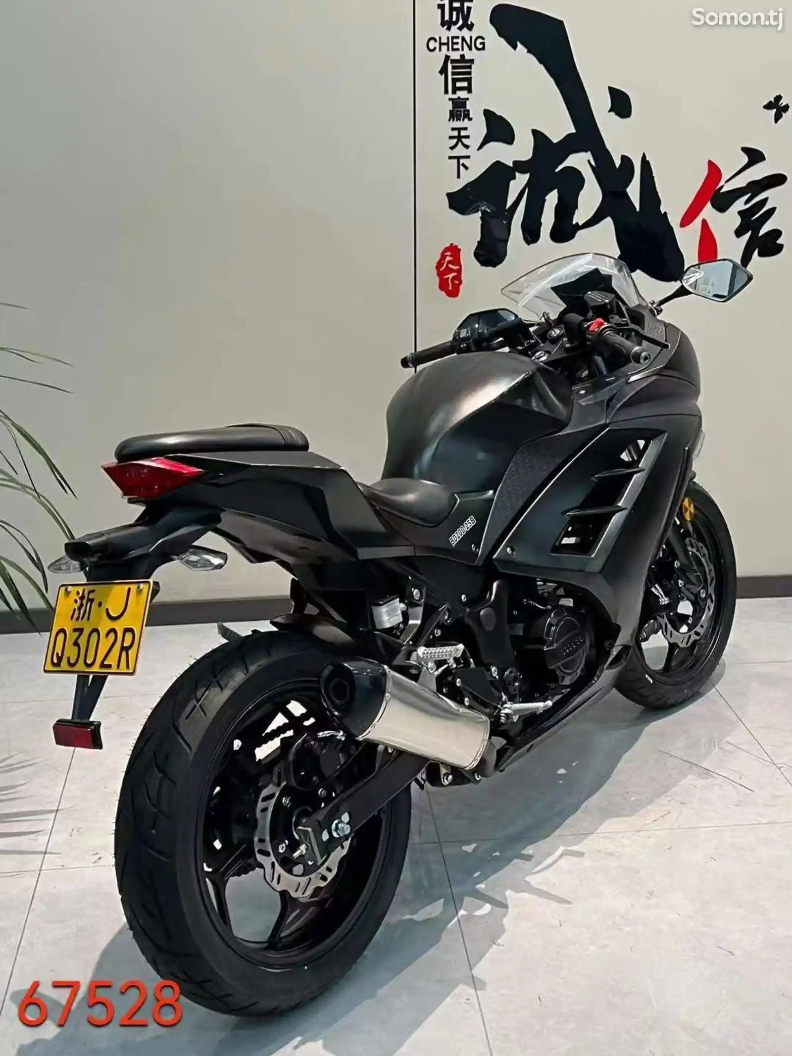 Kawasaki Ninja 200RR на заказ-6