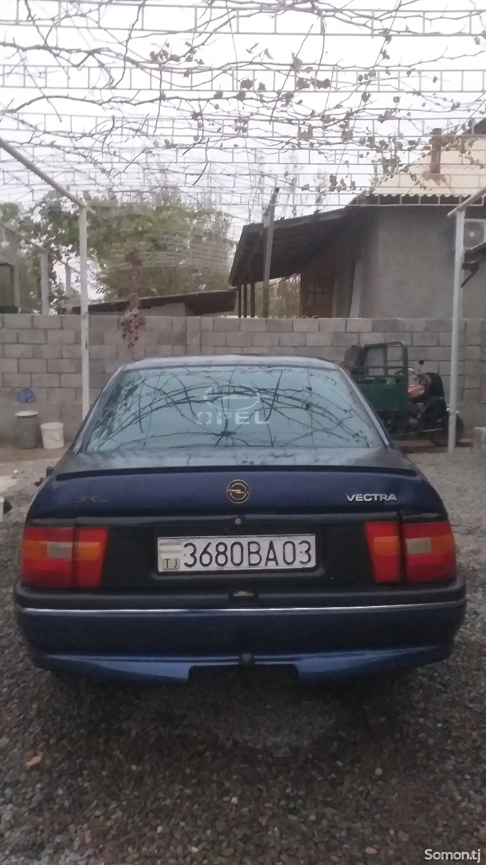 Opel Vectra A, 1993-1