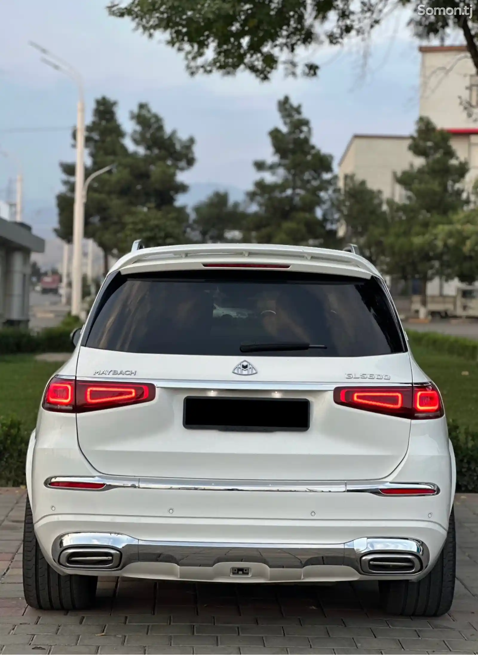 Mercedes-Benz GLS, 2022-6