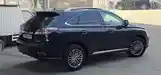 Lexus RX series, 2012-4