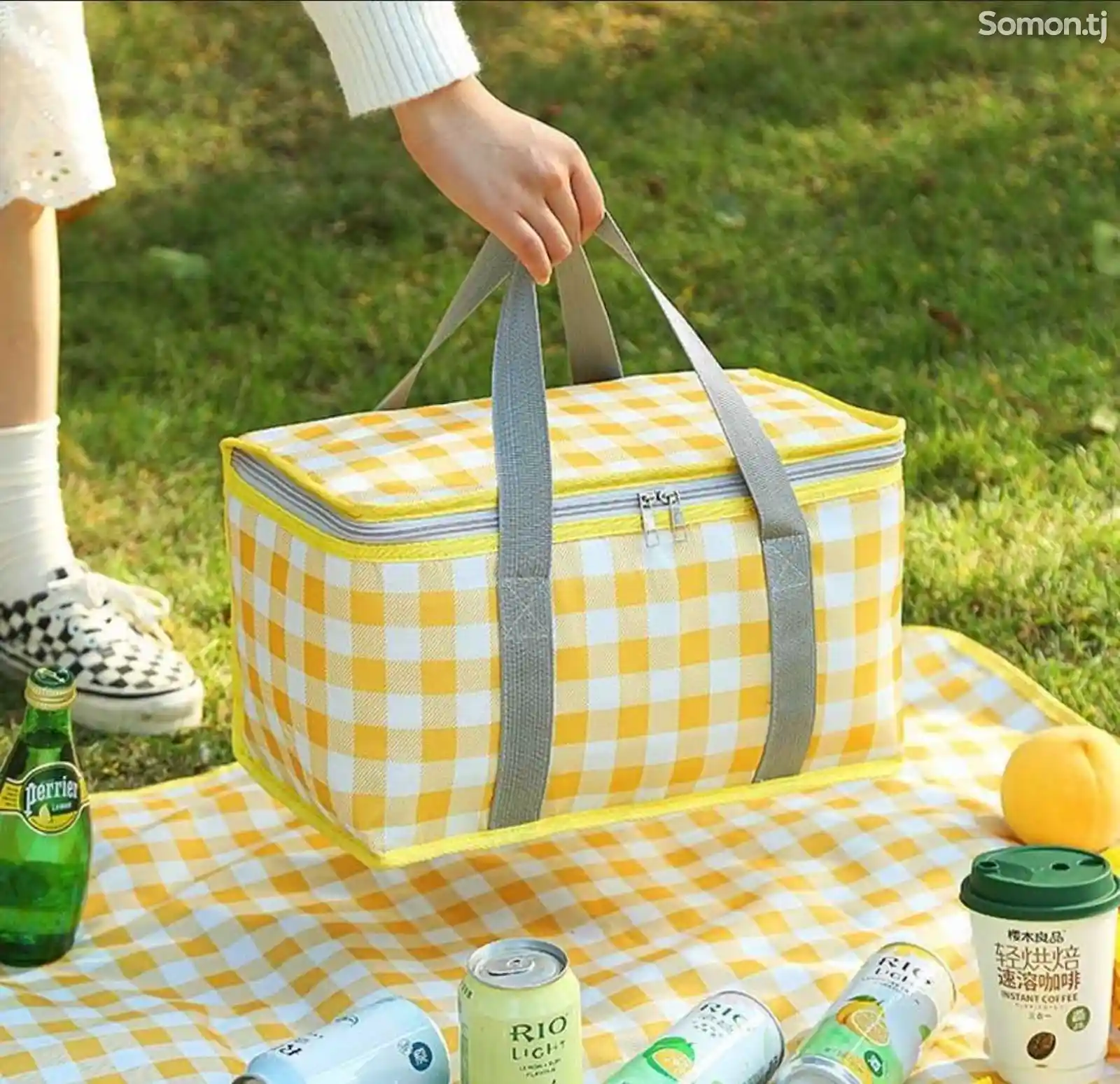 Коврик + сумка для пикника-1