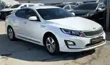 Kia K5, 2015-9