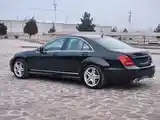 Mercedes-Benz S class, 2007-4